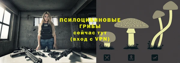 ешки Вязьма