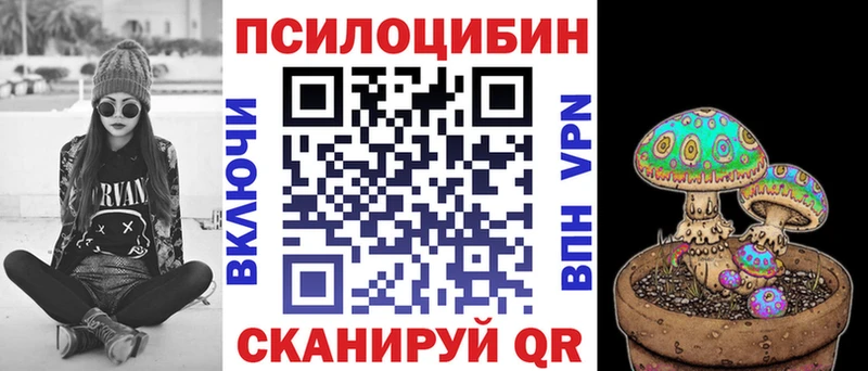 kraken ССЫЛКА  Дальнереченск  Псилоцибиновые грибы Magic Shrooms 
